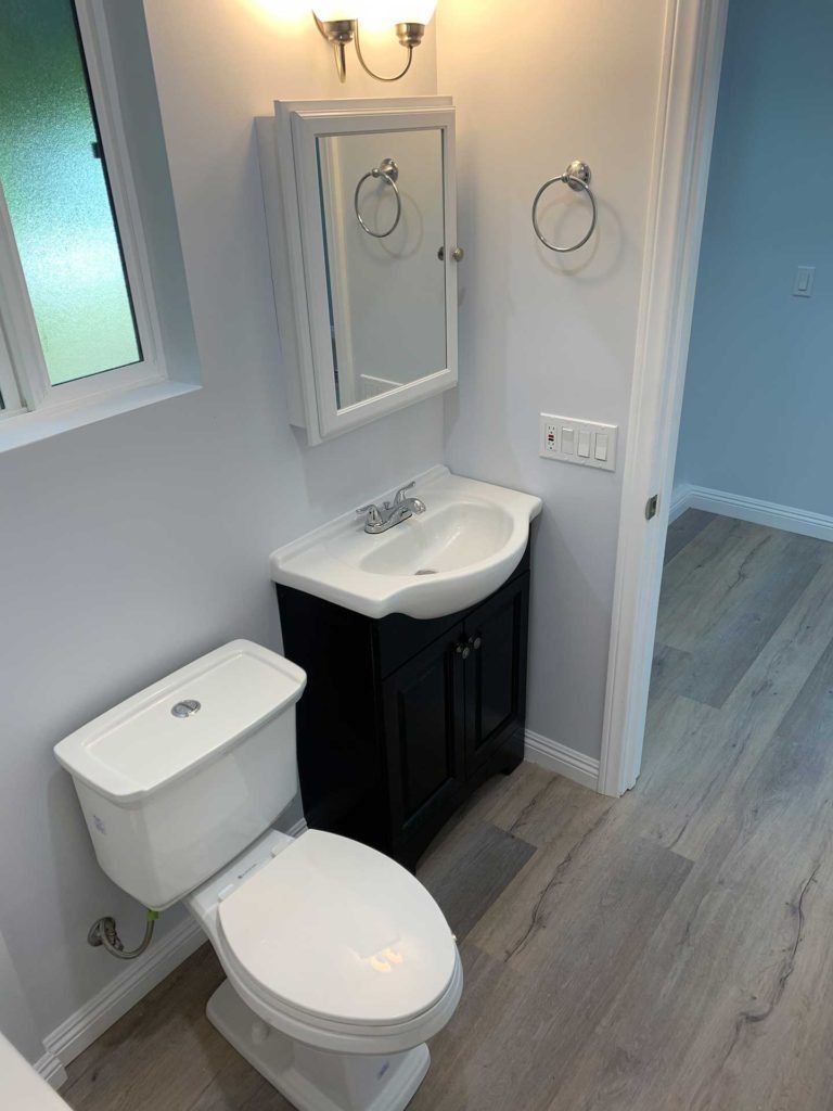 bathroom with toilet and small black vanity with rectangular mirror